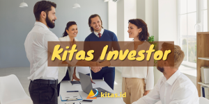 Kitas investor