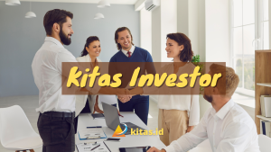 Kitas investor